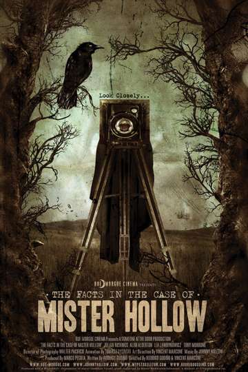 The Facts in the Case of Mister Hollow Poster