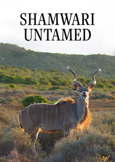 Shamwari Untamed