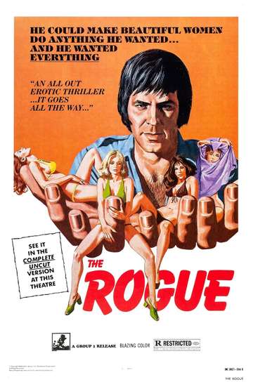 The Rogue Poster