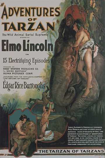 The Adventures of Tarzan Poster