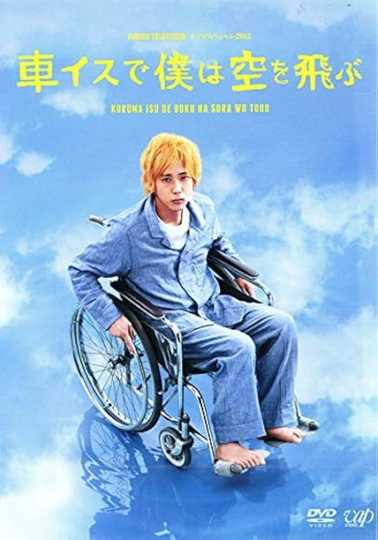 I Will Fly to the Sky on a Wheelchair Poster