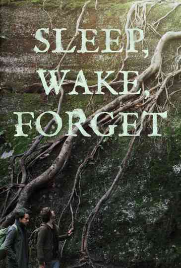 Sleep, Wake, Forget Poster