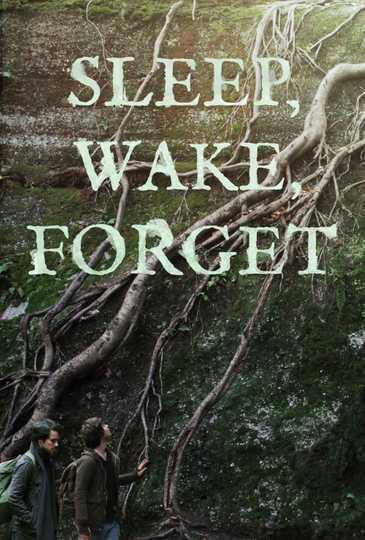 Sleep, Wake, Forget Poster