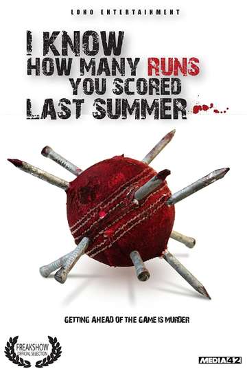 I Know How Many Runs You Scored Last Summer Poster