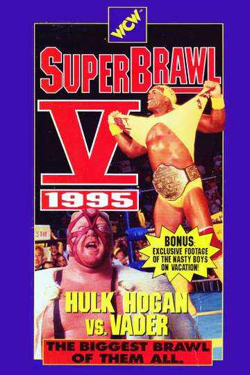 WCW SuperBrawl V Poster