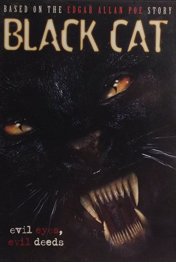 Black Cat Poster