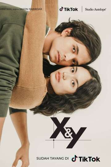 X&Y Poster