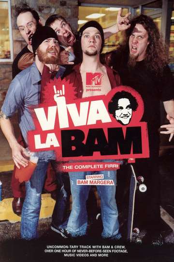 Viva La Bam Poster