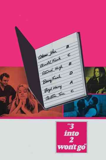 3 Into 2 Won't Go Poster