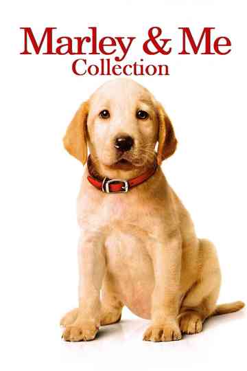 Marley & Me Collection Poster