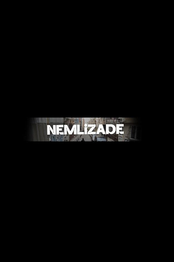 Nemlizade Poster