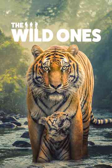 The Wild Ones poster