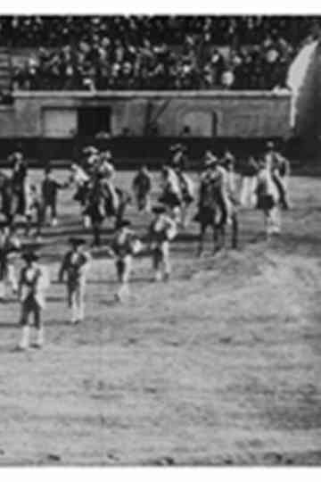 Sortie de la Quadrille et commencement de la course (Vue de trios quarts) poster