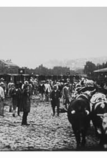 Marché aux boeufs, I