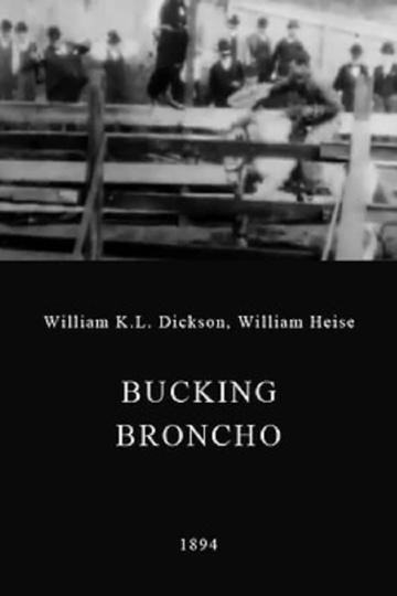 A Bucking Broncho Poster