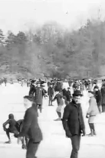 Skating in Central Park