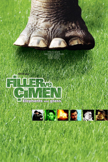 Elephants and Grass Poster