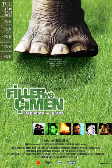 Elephants and Grass Poster