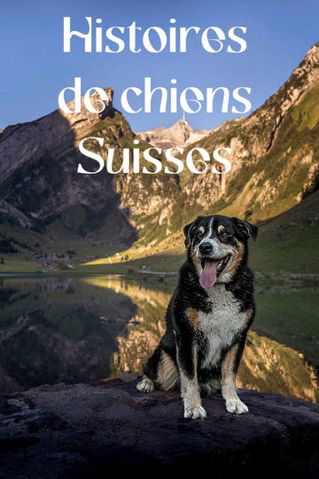 Schweizer Hundegeschichten