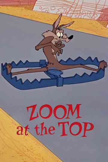 Zoom at the Top