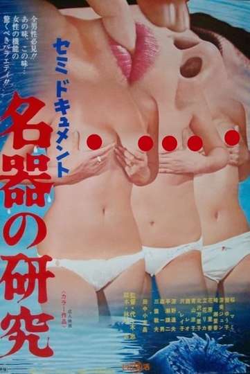 Semi-dokyumento: Meiki no kenkyû Poster
