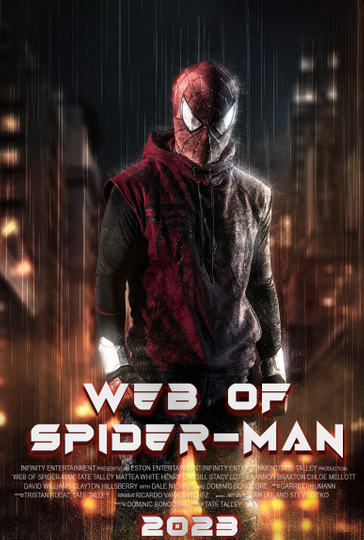 Web of Spider-Man Poster