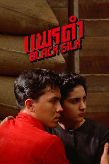 Black Silk Poster