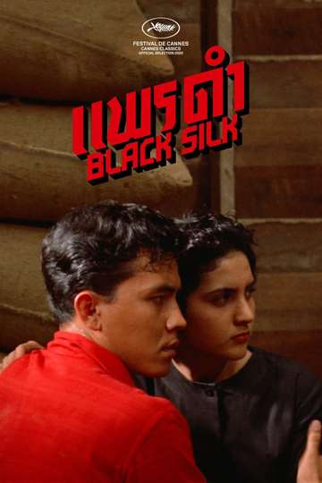 Black Silk Poster