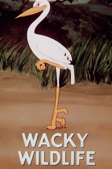Wacky Wildlife Poster