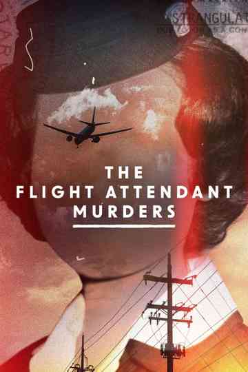 The Flight Attendant Murders poster