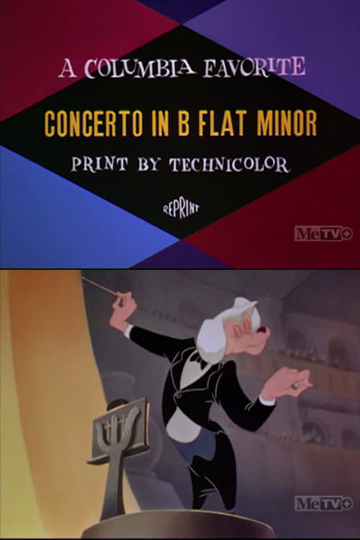 Concerto in B Flat Minor