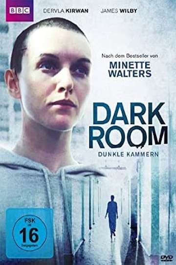 The Dark Room Poster