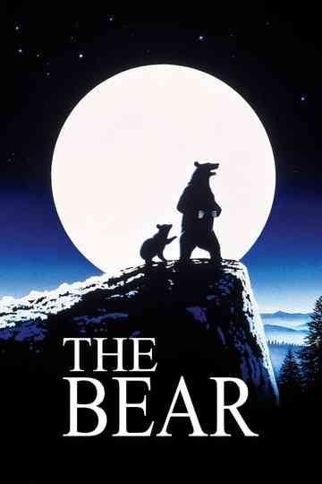 The Bear