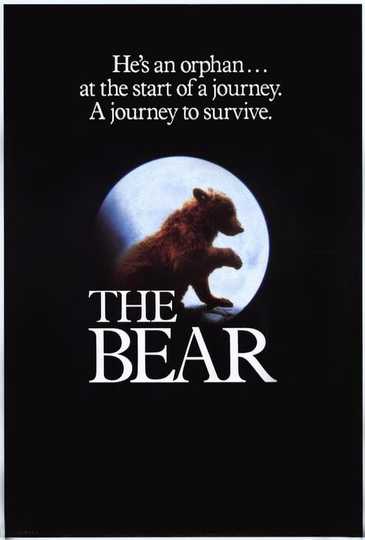 The Bear Poster