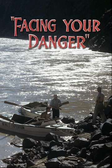 Facing Your Danger Poster