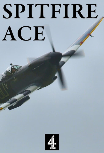 Spitfire Ace Poster