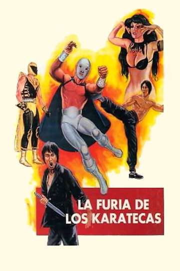 The Fury of the Karate Experts Poster