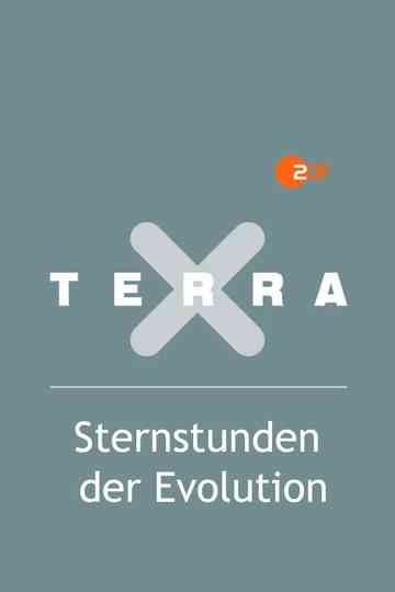 Terra X - Sternstunden der Evolution