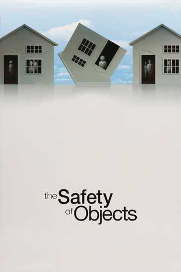 The Safety of Objects Poster