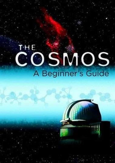 The Cosmos: A Beginner's Guide