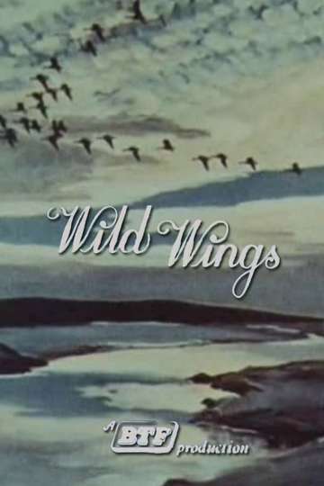 Wild Wings Poster