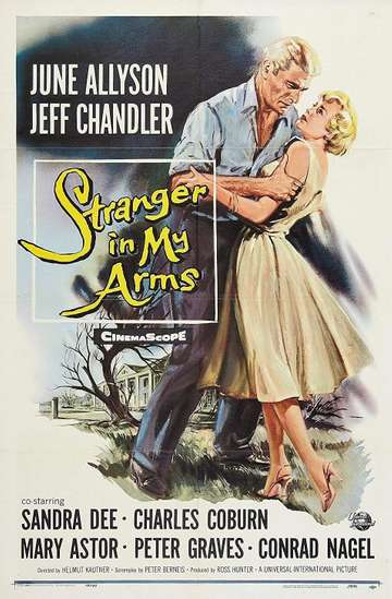 A Stranger in My Arms Poster