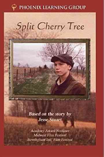Split Cherry Tree