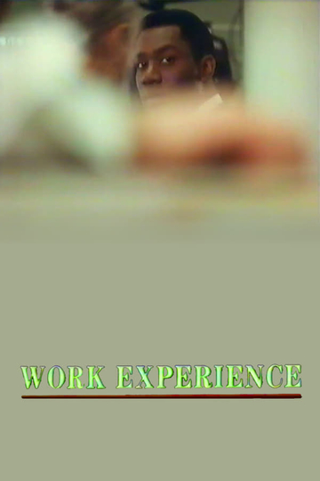 Work Experience