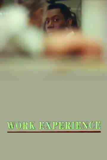Work Experience