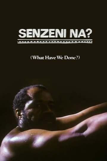 What Have We Done Poster