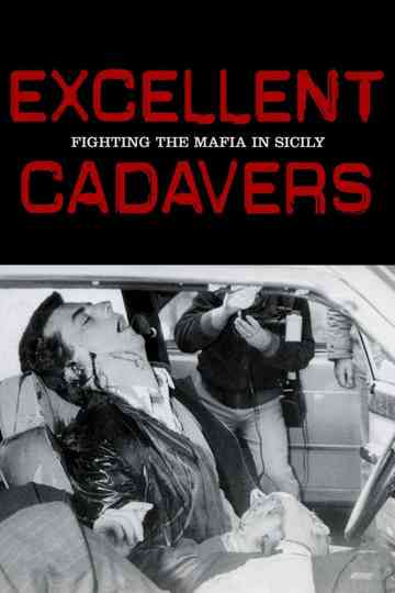 Excellent Cadavers Poster