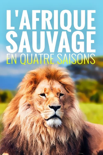 L'Afrique Sauvage En 4 Saisons