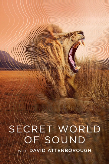 Secret World of Sound Poster