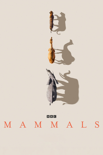 Mammals